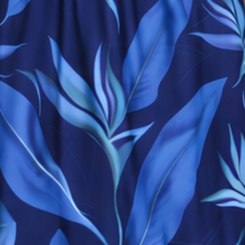 Oiseau paradis bleu