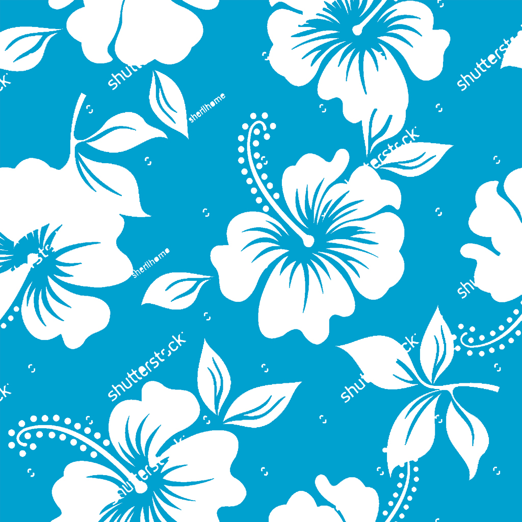 hibiscus2