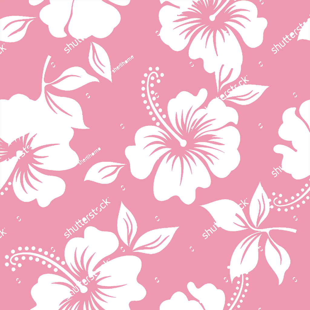 hibiscus4