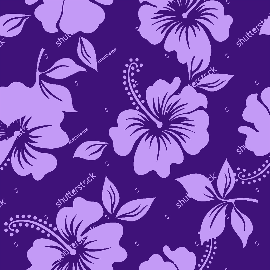 hibiscus6