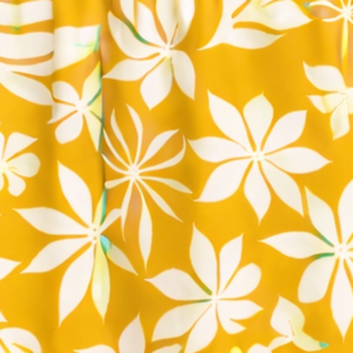 Hibiscus jaune blanc