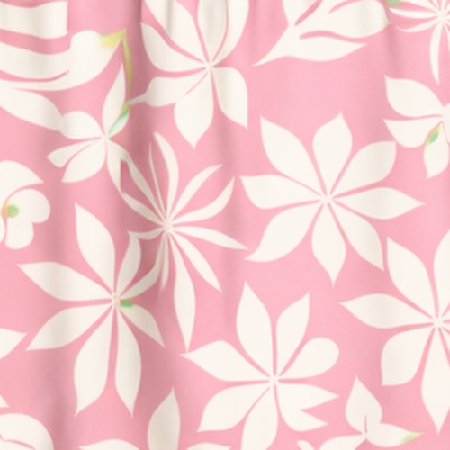 Hibiscus rose blanc